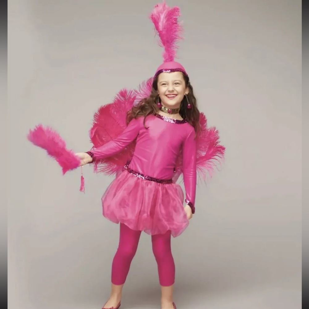 Wishcraft/Chasing Fireflies flamingo costume size 6